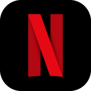 Netflix 1 Perfil 2 Meses